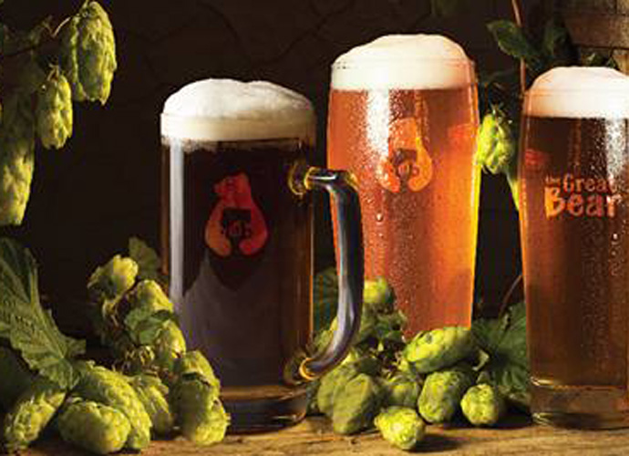The Quest for The Best Brewery in Town: The Great Bear Chandigarh Review