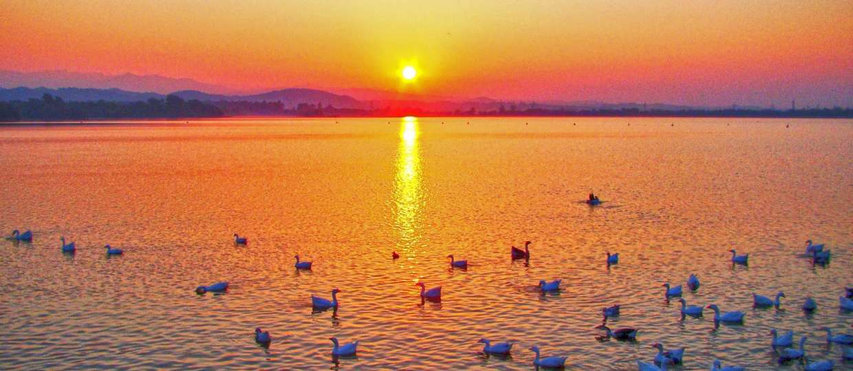 Your Best Guide For Top 12 Things to do at Sukhna Lake in Chandigarh