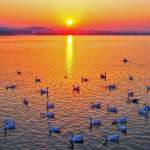 Things you must try when you visit the beautiful, Sukhna lake Chandigarh
