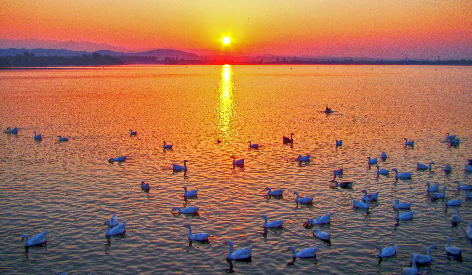 Things you must try when you visit the beautiful, Sukhna lake Chandigarh