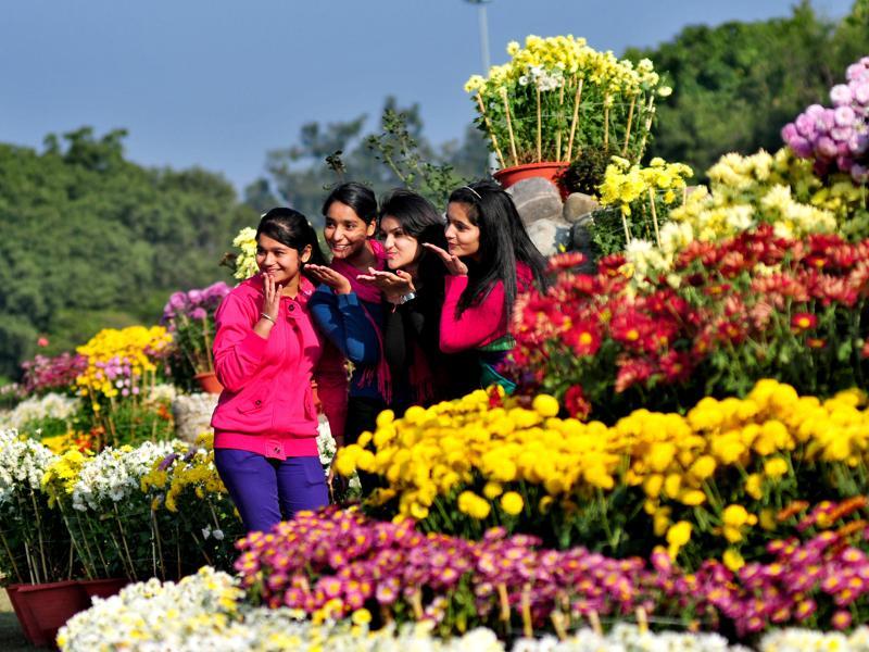 Chandigarh Flower Show, 2015