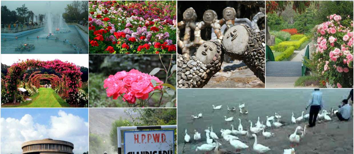 7 Lesser known facts about Chandigarh, Find out how well you know your ‘City Beautiful’
