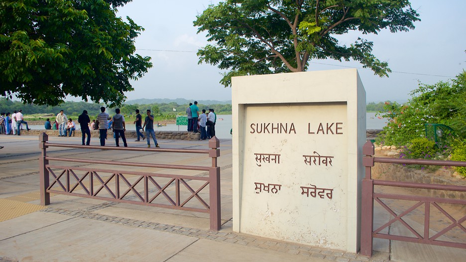 Things you must try when you visit the beautiful, Sukhna lake Chandigarh