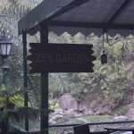 Savoy Greens Jabli Review - A casual Ramble Enroute Shimla