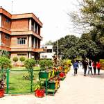GGDSD-college