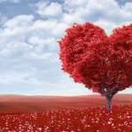 Valentines Week 2017