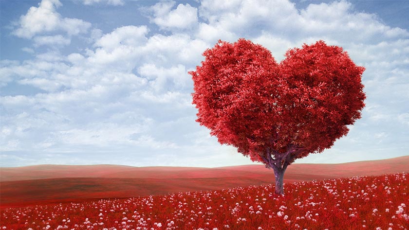 Boys, get your pockets warmed up on Valentine Week 2017