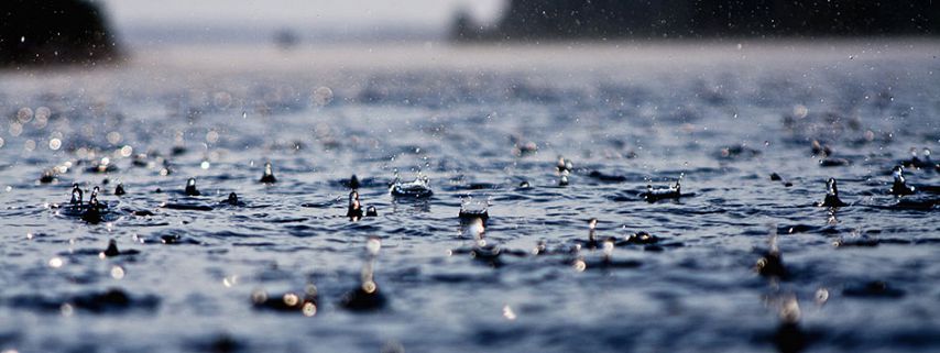 City Thrills It’s First Rainfall In Chandigarh