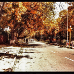Summer in Chandigarh