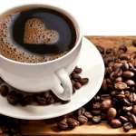 chandigarh best coffee shops