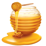honey: HOW TO CHECK HONEY PURITY AT HOME