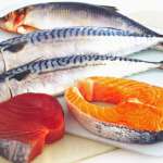 You Can Reap Many Benefits By Adding Fish In Your Diet