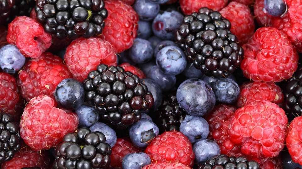 You Want To Beat Stress?  Foods That Can Reduce Stress And Anxiety