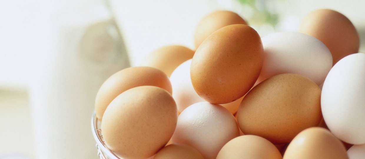 Myths And Facts About Eggs That You Should Know