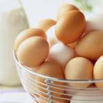Myths And Facts About Eggs That You Should Know