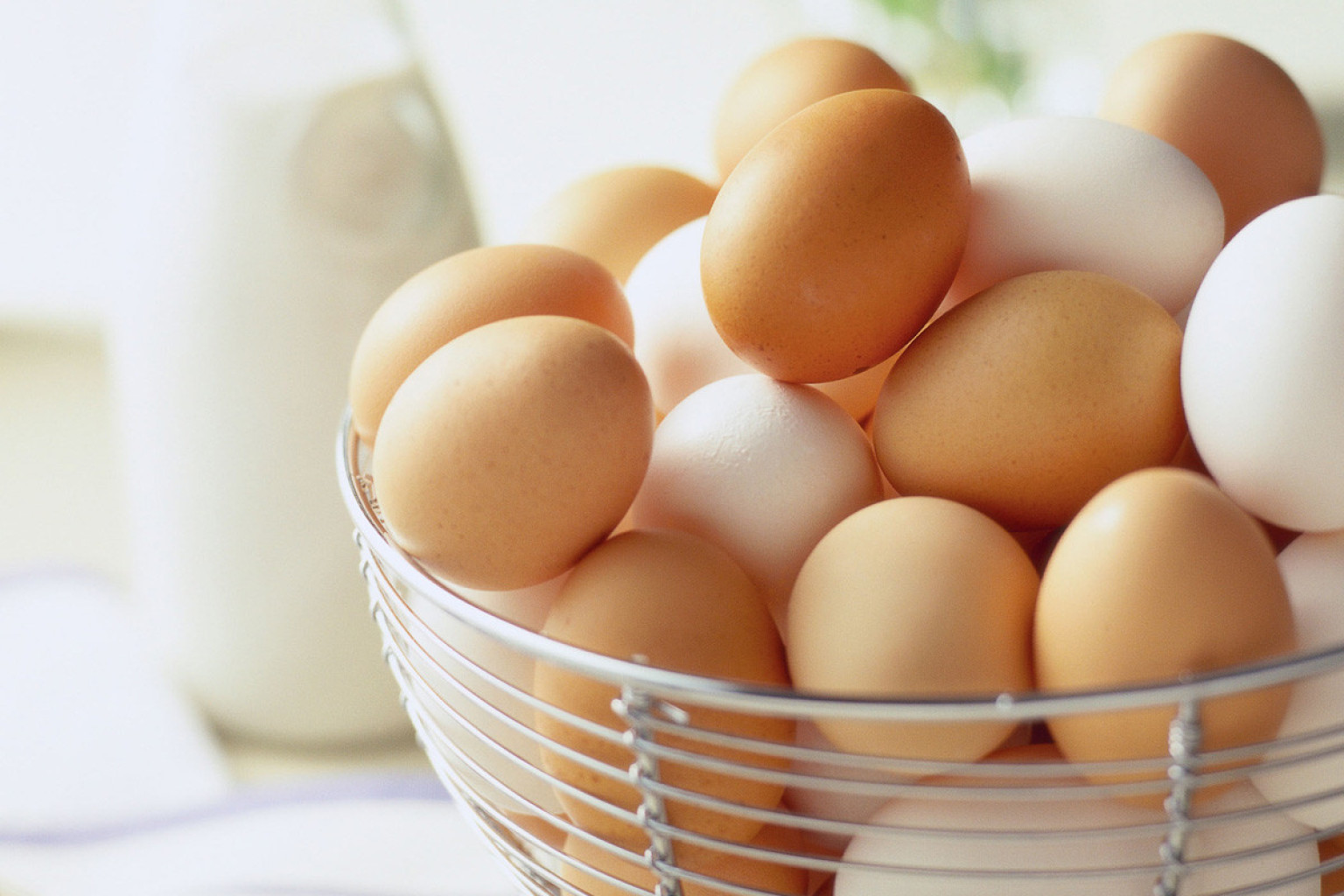 Myths And Facts About Eggs That You Should Know