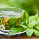 Benefits of Green Tea