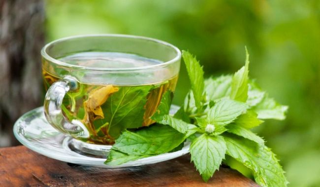True Benefits of Green Tea you definitely didn’t know