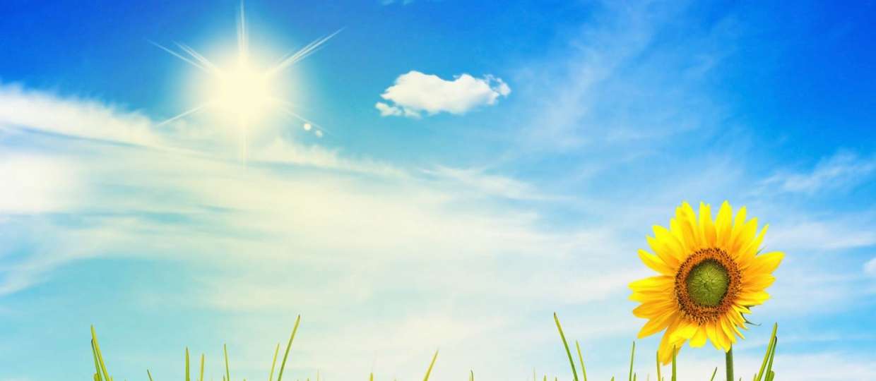 Things That Make Hot Summer A “Cool” Summer