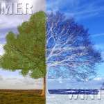 weather change from winter to summer