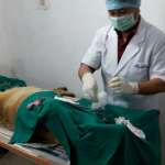 Mohali MC To Hire Udgir-Based NGO For Sterilisation Of Stray Dogs