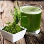Barley Grass That Can Do Miraculous Work To Make You Healthy