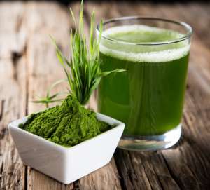 Barley Grass That Can Do Miraculous Work To Make You Healthy