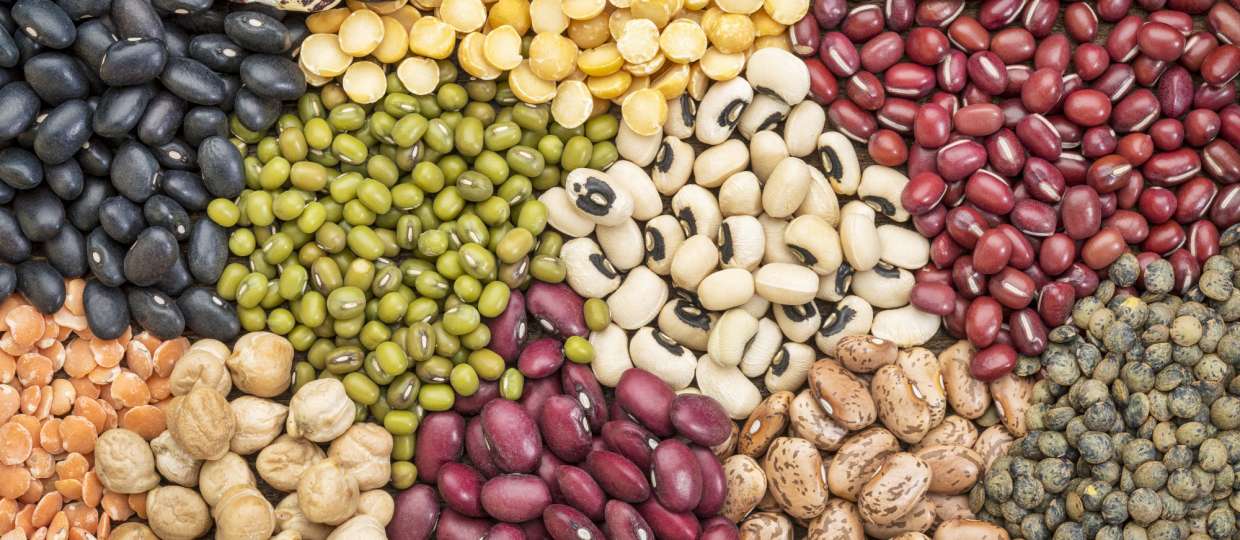 List Of Seven Foods That Can Boost Your Mood And Health