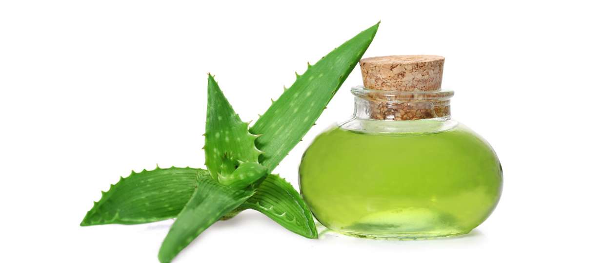 List Of Benefits Of Aloevera That You Should Know