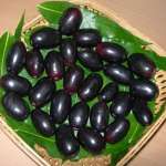 Amazing Health Benefits of Jamun Fruit (Black Plum)