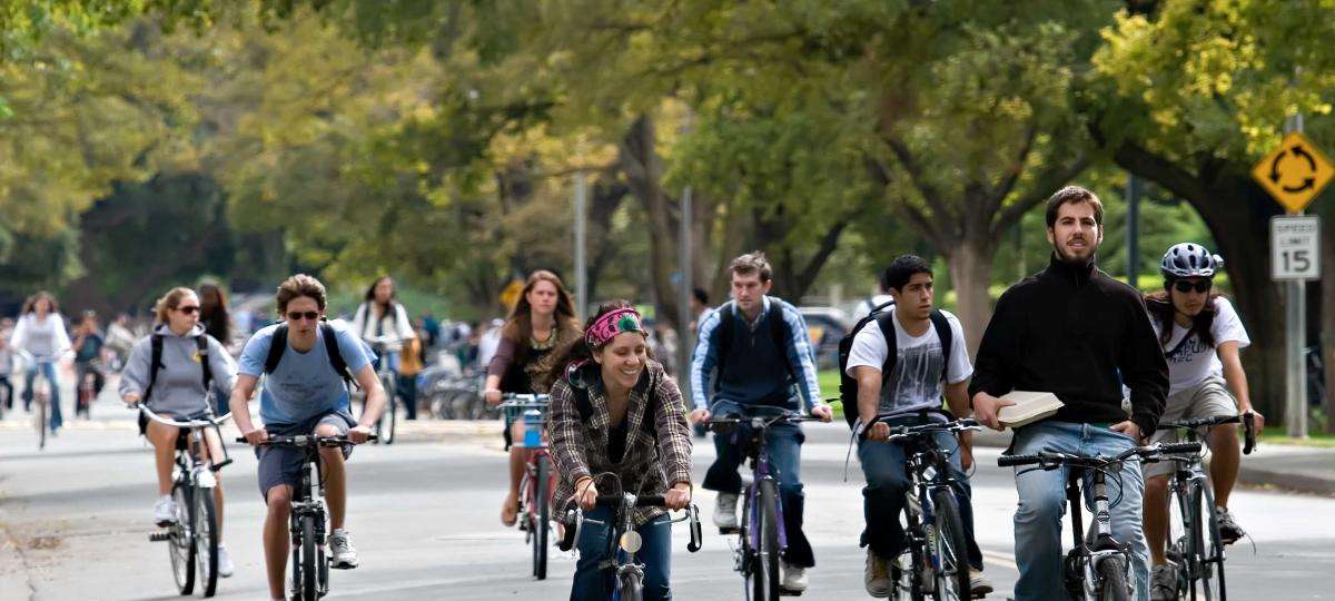To Make The Punjab University Vehicle Free Chandigarh Plans ‘Cycle-Dock Stations’ to the Campus