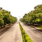 Chandigarh Plant 40000 Trees Under Its "Green Action Plan"
