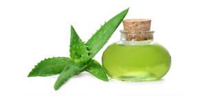 List Of Benefits Of Aloevera That You Should Know