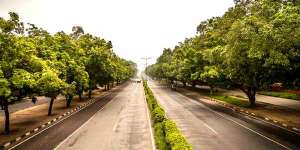 Chandigarh Plant 40000 Trees Under Its "Green Action Plan"