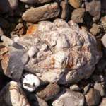 Children Found Hand Grenade Near Ghaggar