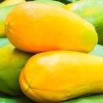 Amazing Health Benefits of Papaya That You Should Know