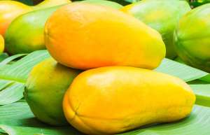 Amazing Health Benefits of Papaya That You Should Know