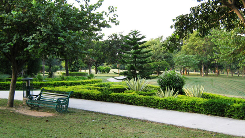 Top Famous Gardens in Chandigarh