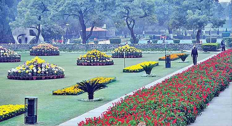 Top Famous Gardens in Chandigarh
