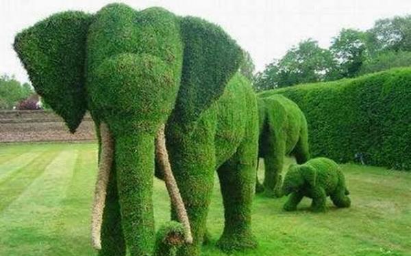 Topiary Garden