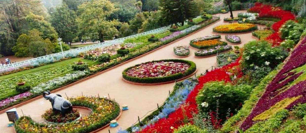 Top Famous Gardens in Chandigarh