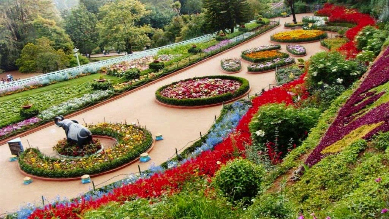 Top Famous Gardens in Chandigarh