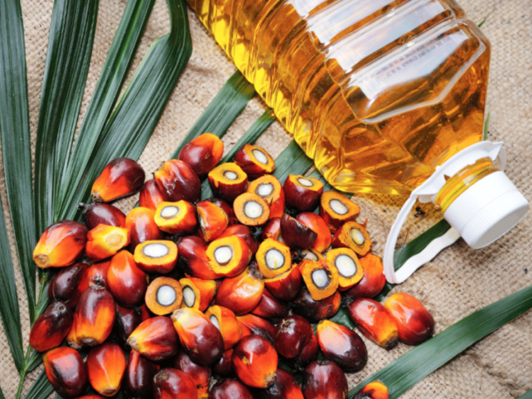 Get Hooked on Palm – Dispelling the Controversial Myths of Palm Oil