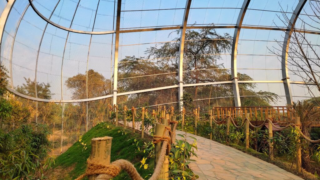 Chandigarh Bird park walking area 