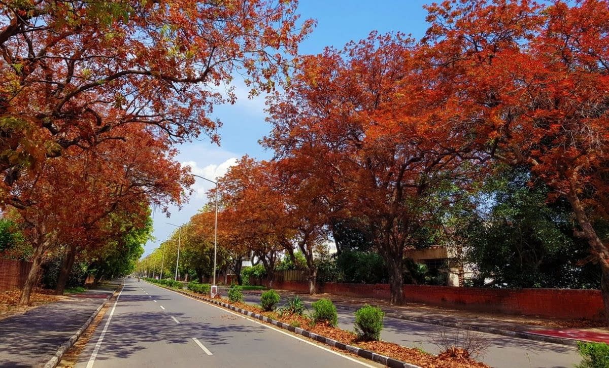 Chandigarh Weather – A Visual Guide to the  Climates of ‘City Beautiful’ & How You Can Make The Most of It