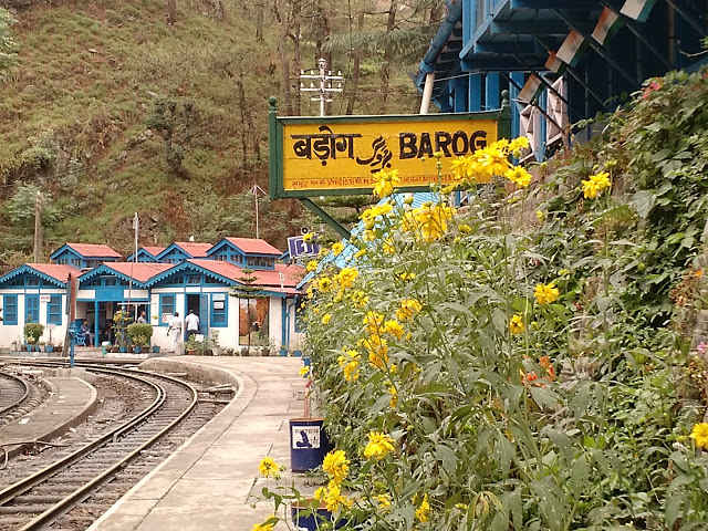 Barog, Himachal Pradesh 
