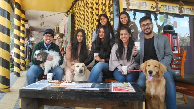How to Register Your Pet Dogs in Chandigarh? Know Step-By-Step Process