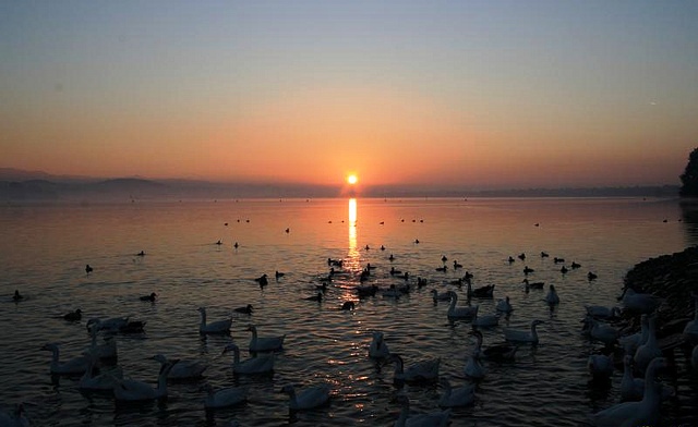 sukhna lake sunrise sunset, things to do at sukhna lake