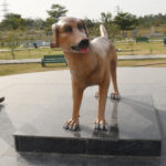 Dog park in panchkula