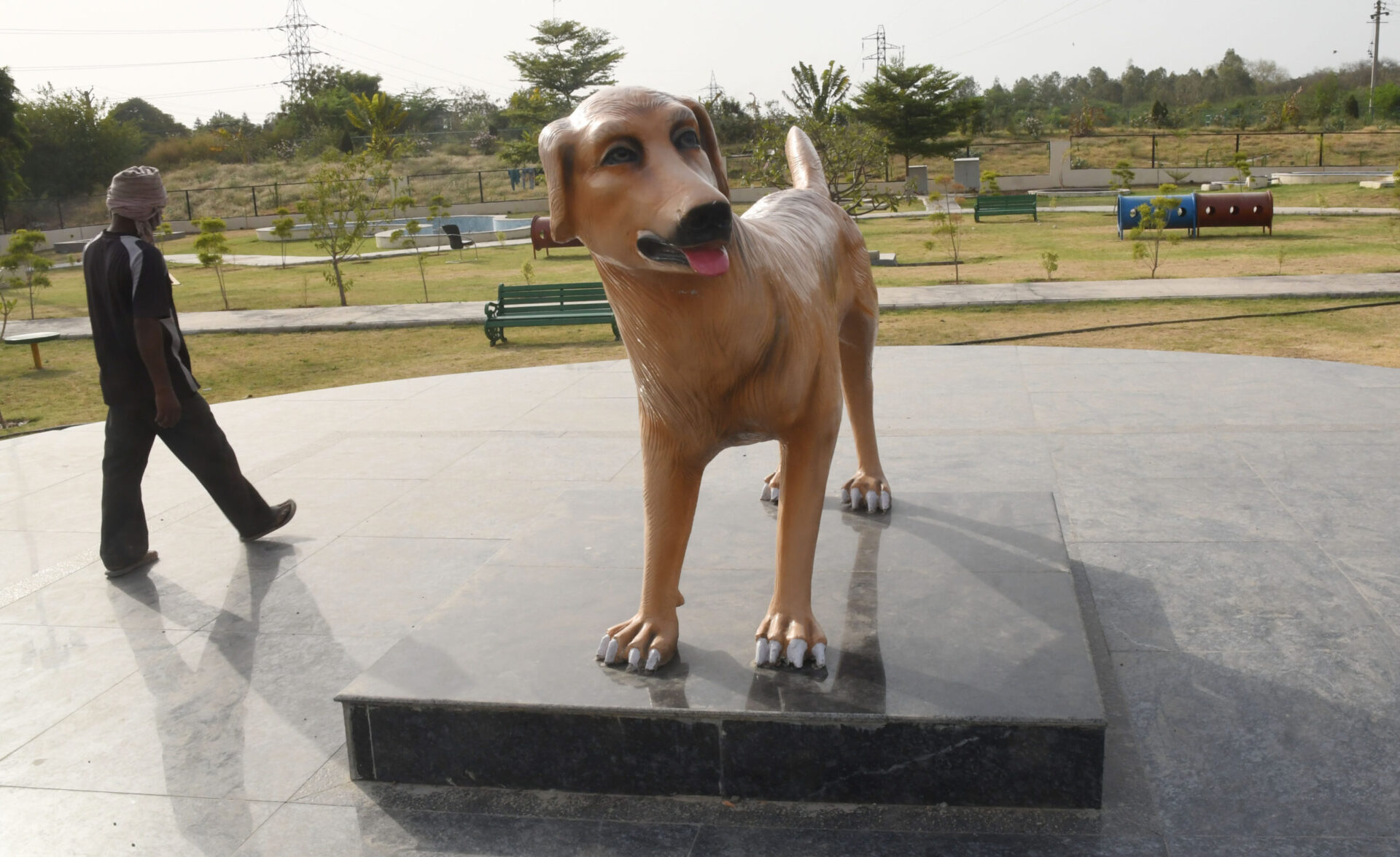 Good News For Pet Parents : Panchkula is Now Home to India’s 2nd Dog Park